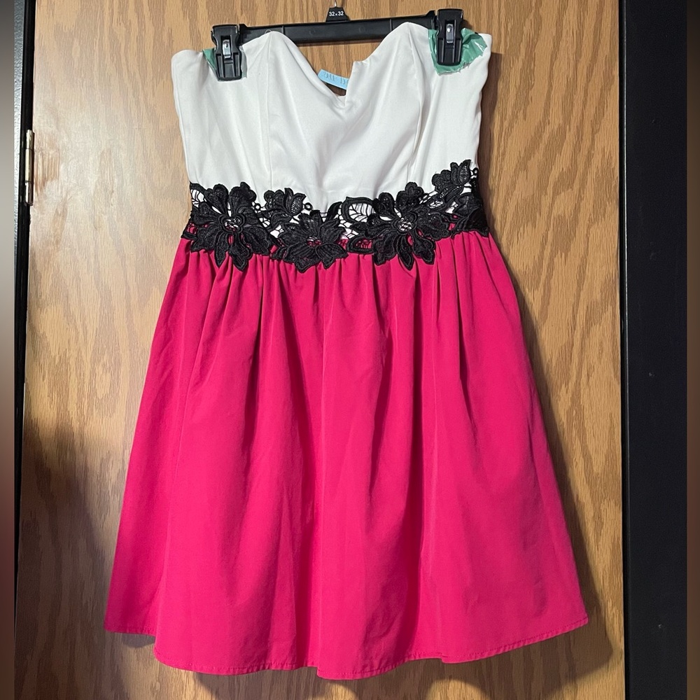 NWT Francesca’s lace white and pink strapless mini dress